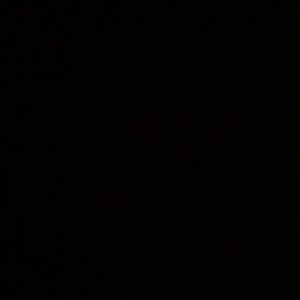 Meet your Posher, Rozonda